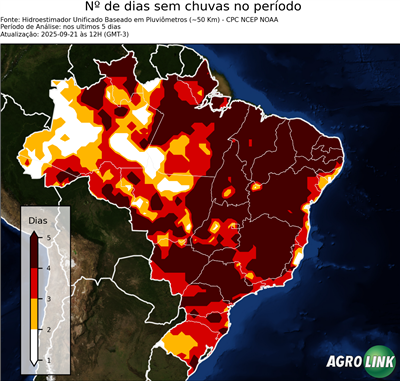 5 dias