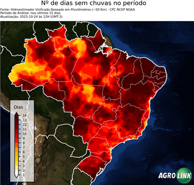 15 dias