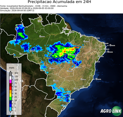 24 horas