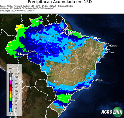 15 dias