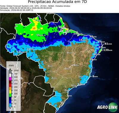 7 dias