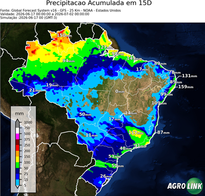 15 dias