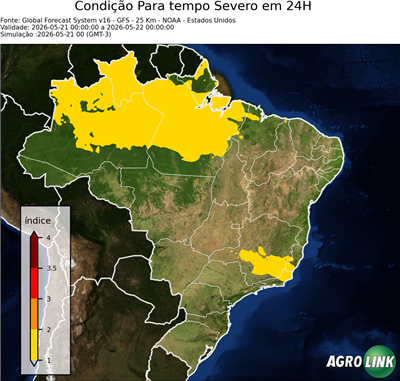 24 horas