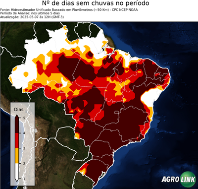 5 dias