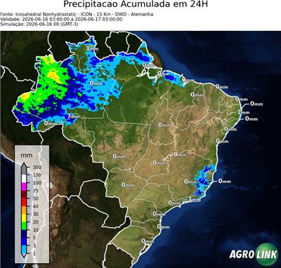 24 horas