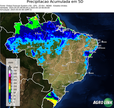 5 dias
