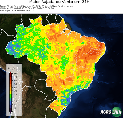 24 horas