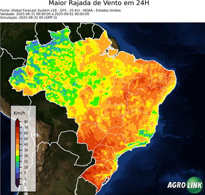 24 horas