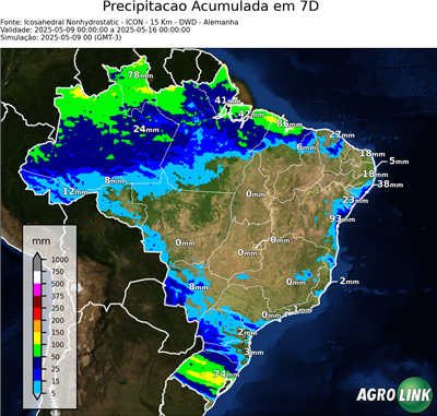7 dias