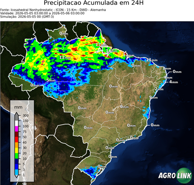 24 horas
