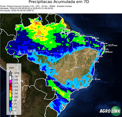 7 dias