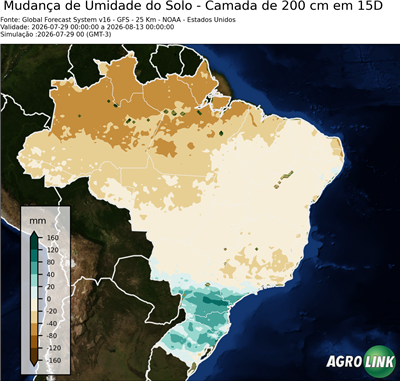 15 dias