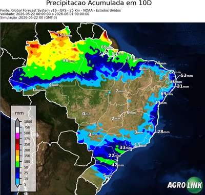 10 dias
