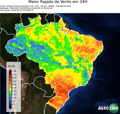 24 horas