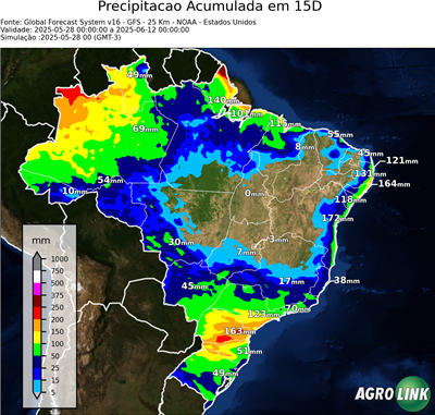 15 dias