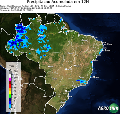12 horas
