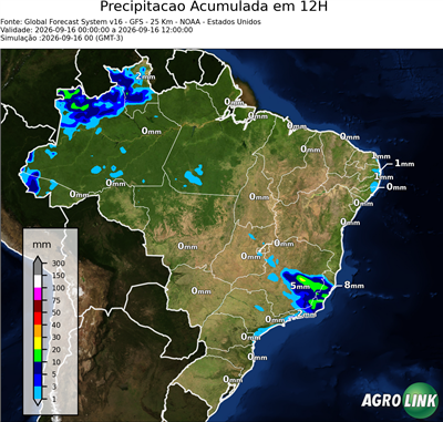 12 horas