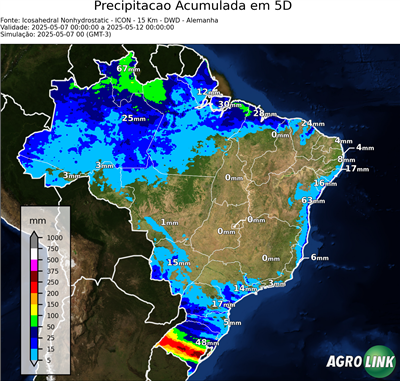 5 dias