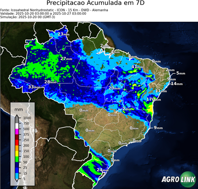 7 dias