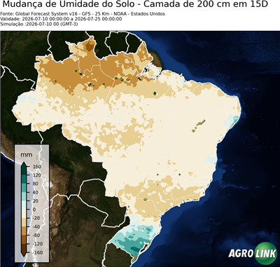 15 dias