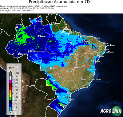 7 dias