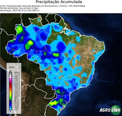 15 dias