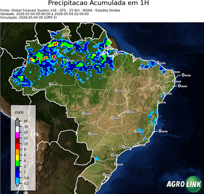 1 hora