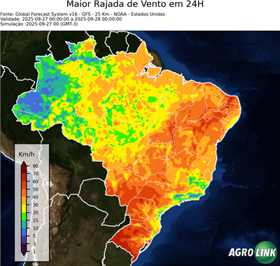 24 horas