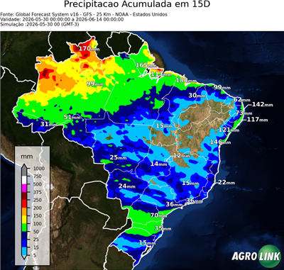 15 dias