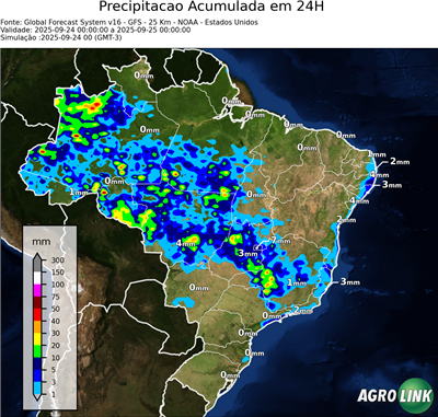 24 horas