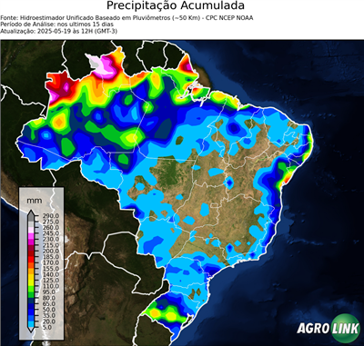 15 dias