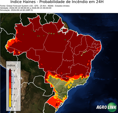 24 horas