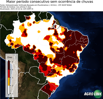 5 dias