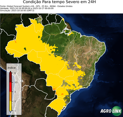 24 horas