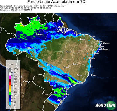 7 dias