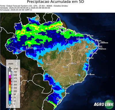 5 dias