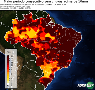 15 dias