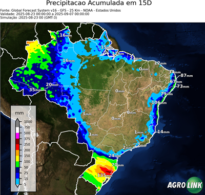 15 dias