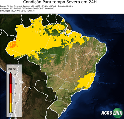 24 horas