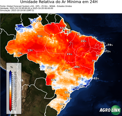 24 horas