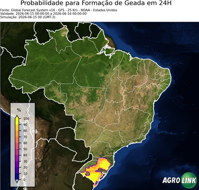 24 horas