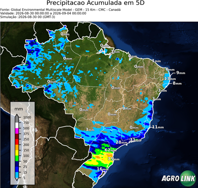 5 dias