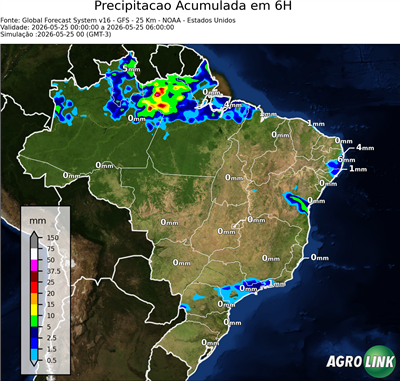 6 horas