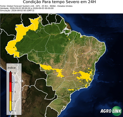 24 horas