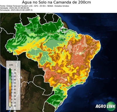 24 horas