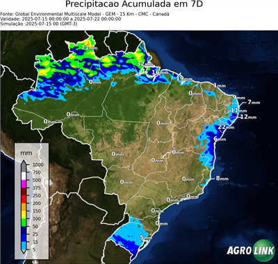 7 dias