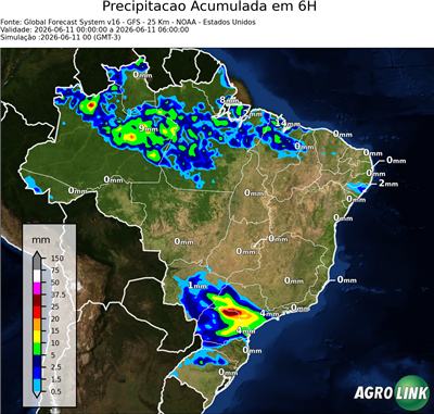 6 horas