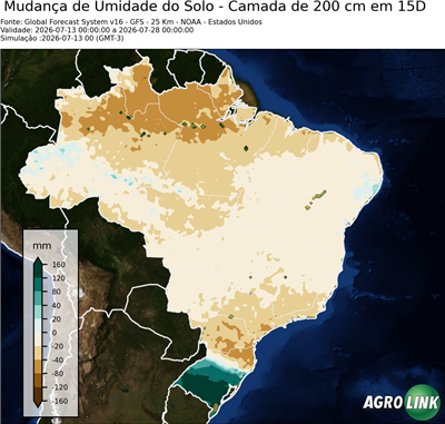 15 dias