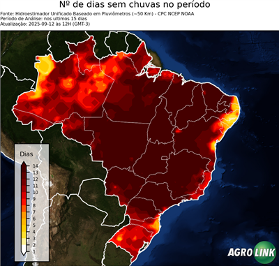 15 dias