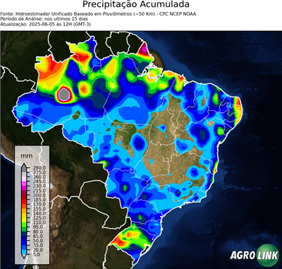 15 dias